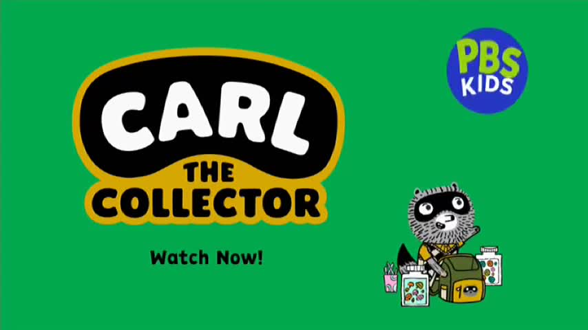 The title card for "Carl the Collector" is on screen, with a raccoon character and the PBS Kids logo. A green background fills the rest of the frame, as the ...