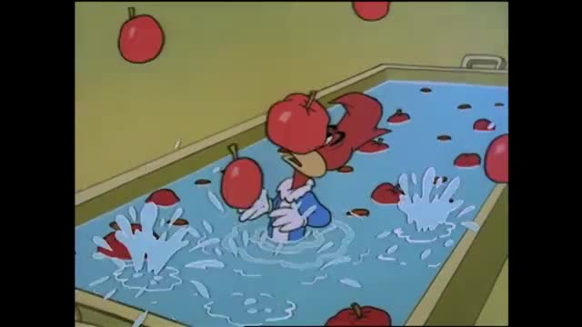 Apples are splashing into a tub of water as a red bird, looking like he's on Rede SPTV, reaches for one. The bird, wearing a blue and white outfit, is partia...