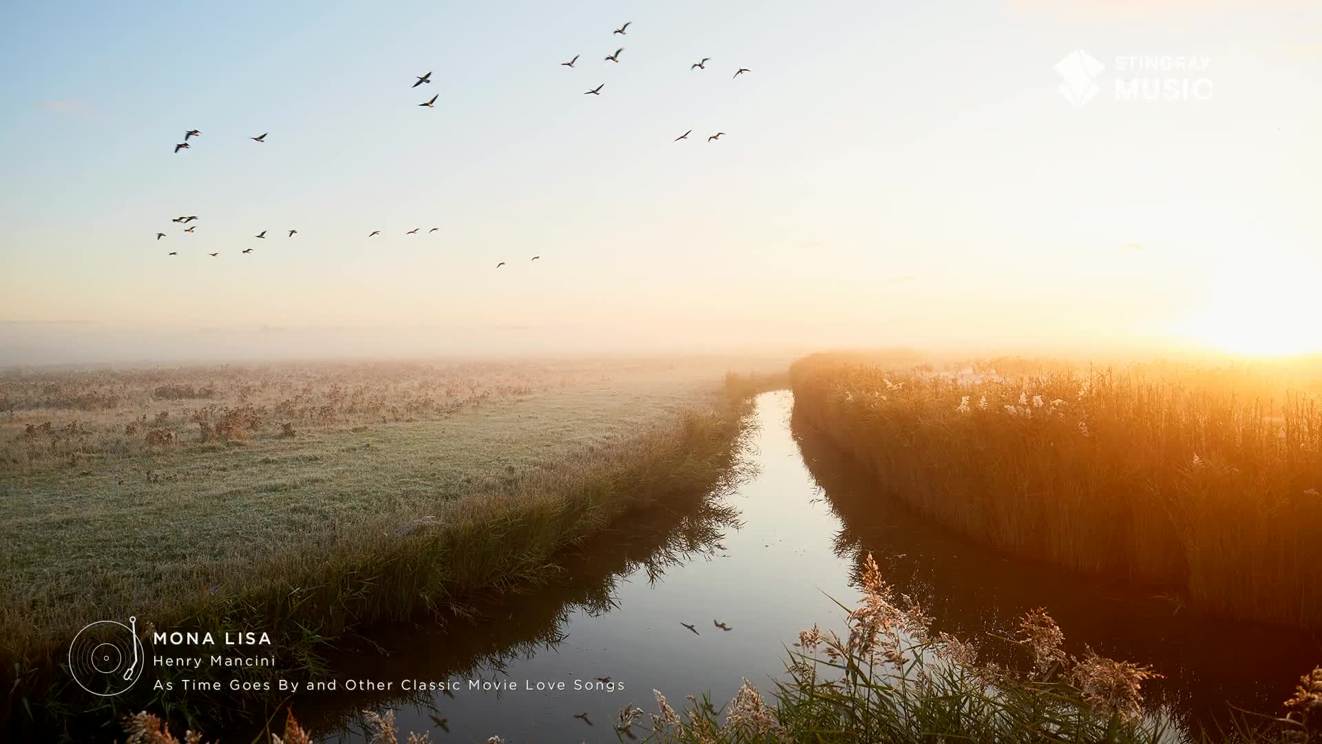 A flock of birds takes flight against a soft, hazy sky, above a calm waterway. The sun's rays are bright, casting a warm glow over the reeds and fields, a pe...