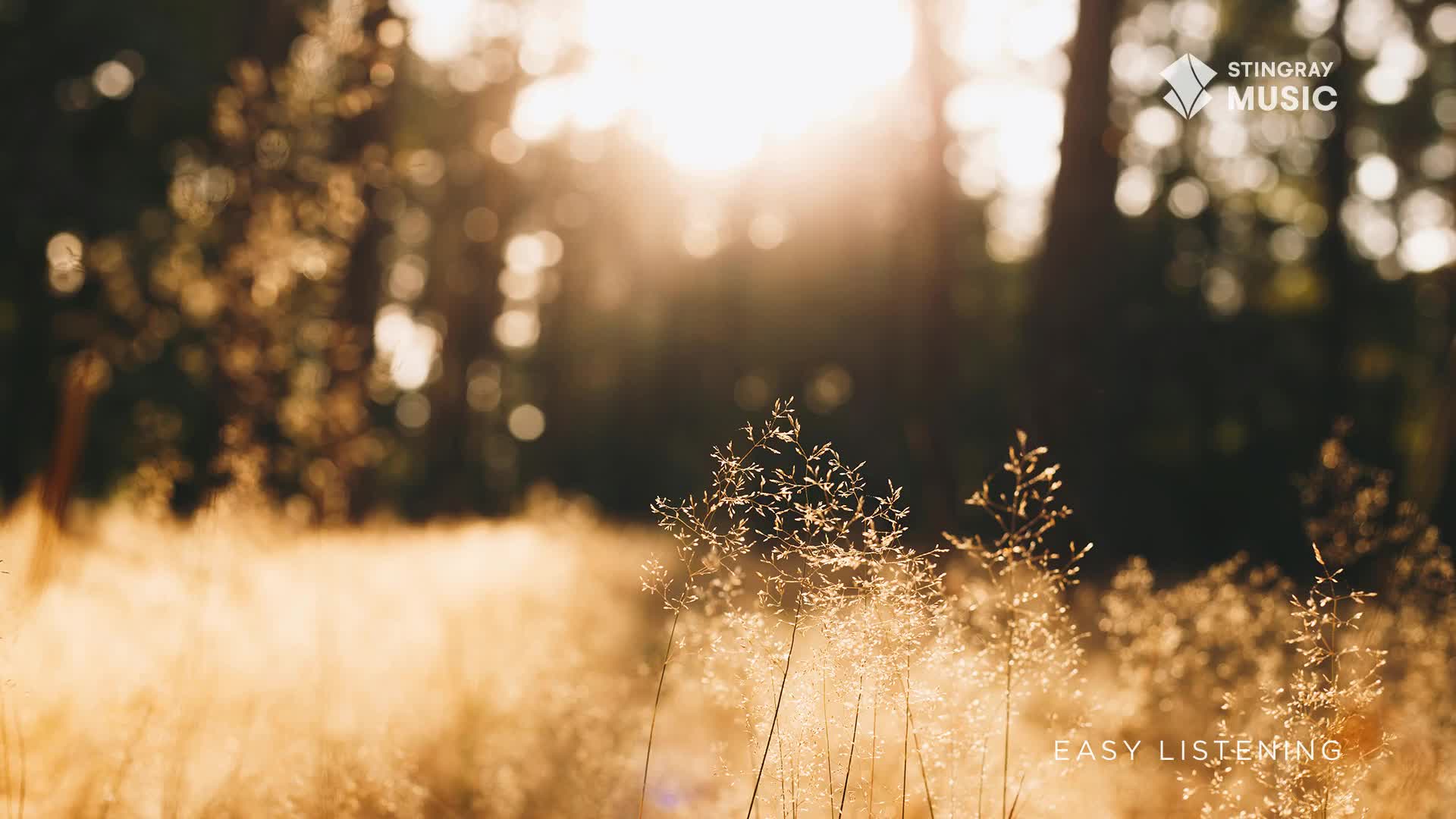 Golden sunlight streams through the trees, illuminating tall grasses in the foreground. The Stingray Easy Listening logo is visible, suggesting a tranquil, C...
