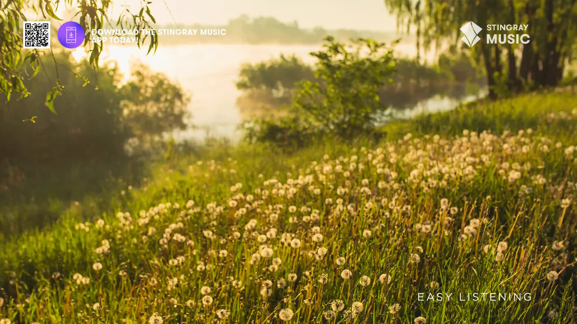 Sunlight streams across a meadow filled with fluffy white dandelions, the air thick with morning mist. Beyond the field, a calm body of water reflects the so...