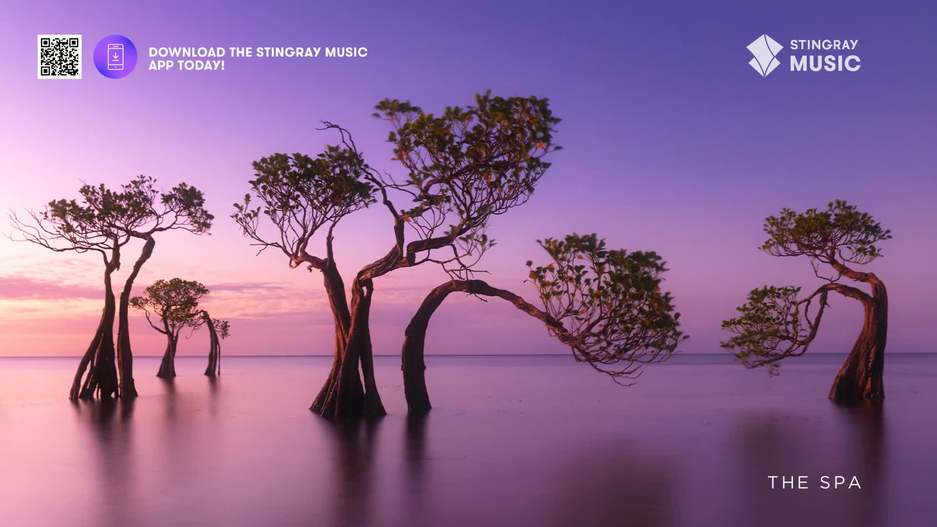 The trees, with their exposed roots, stand in the still water, their branches reaching towards the soft, purple sky. It looks like a scene from Stingray The ...