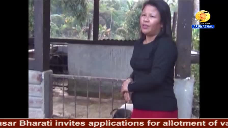 A woman in a black top and red skirt is speaking, likely for DD Arun Prabha, with a pig pen behind her. The logo for Arunachal is visible in the top right co...