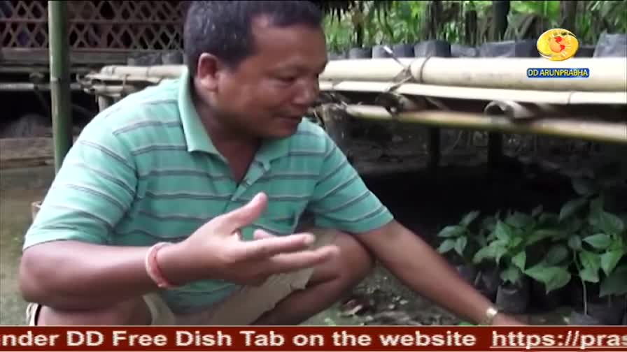 A man in a green striped shirt gestures towards small plants in black pots. The DD Arun Prabha logo is visible as he speaks, likely discussing the crops.