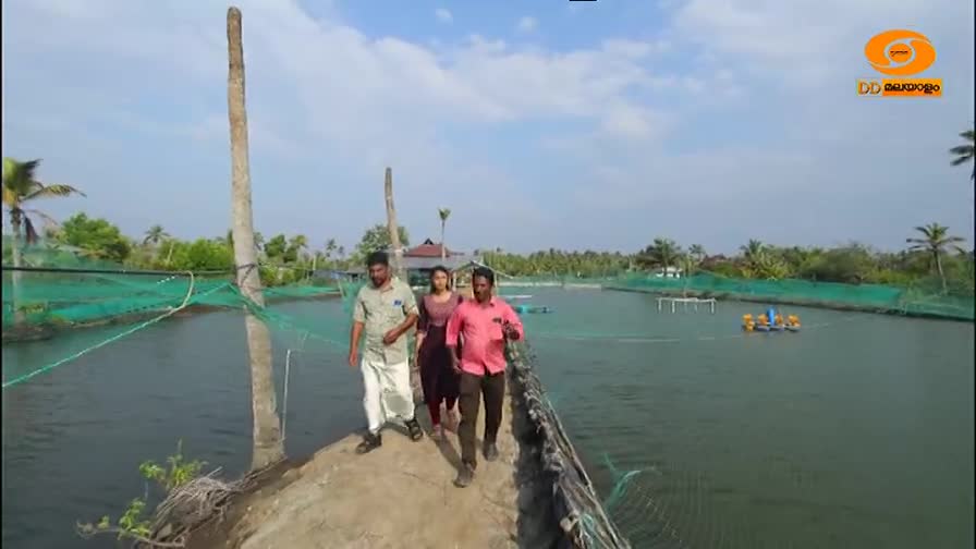 Three people walk toward me on a narrow path, the water on either side enclosed by green netting. The DD Malayalam logo sits in the top right corner.