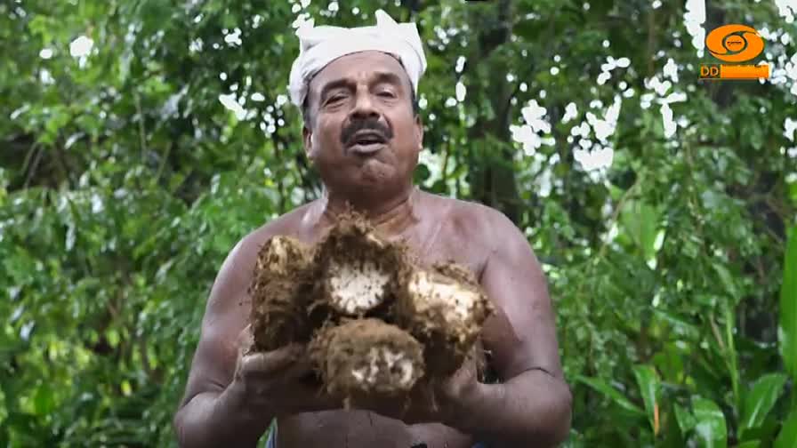 A man, wearing a white cloth on his head, holds several large, muddy root vegetables in front of him. He’s speaking, likely for DD Malayalam, with a backdrop...