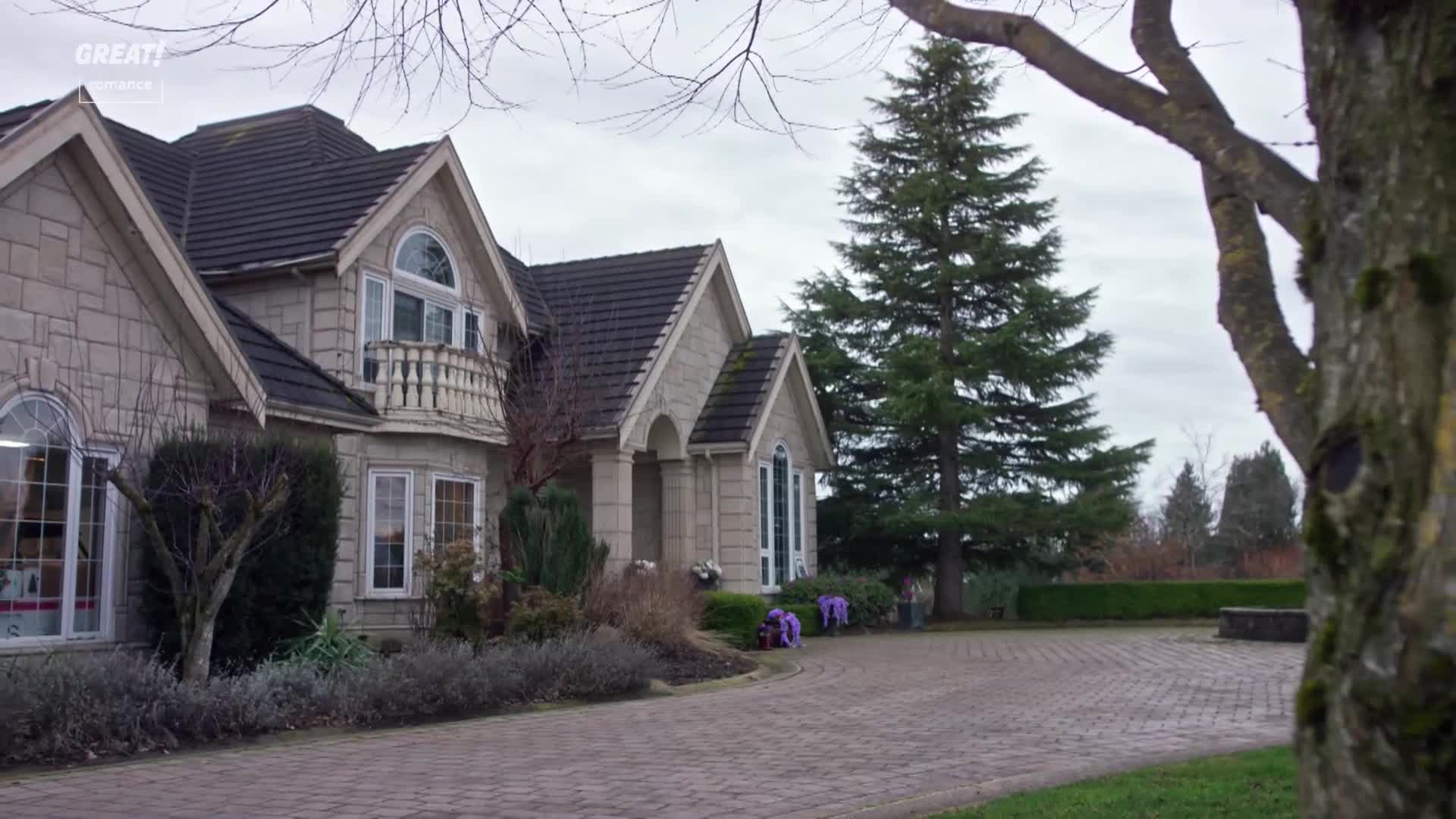 A grand stone house sits on a brick driveway, under a grey sky. A tall evergreen tree stands beside the house, and the scene feels quiet and still.