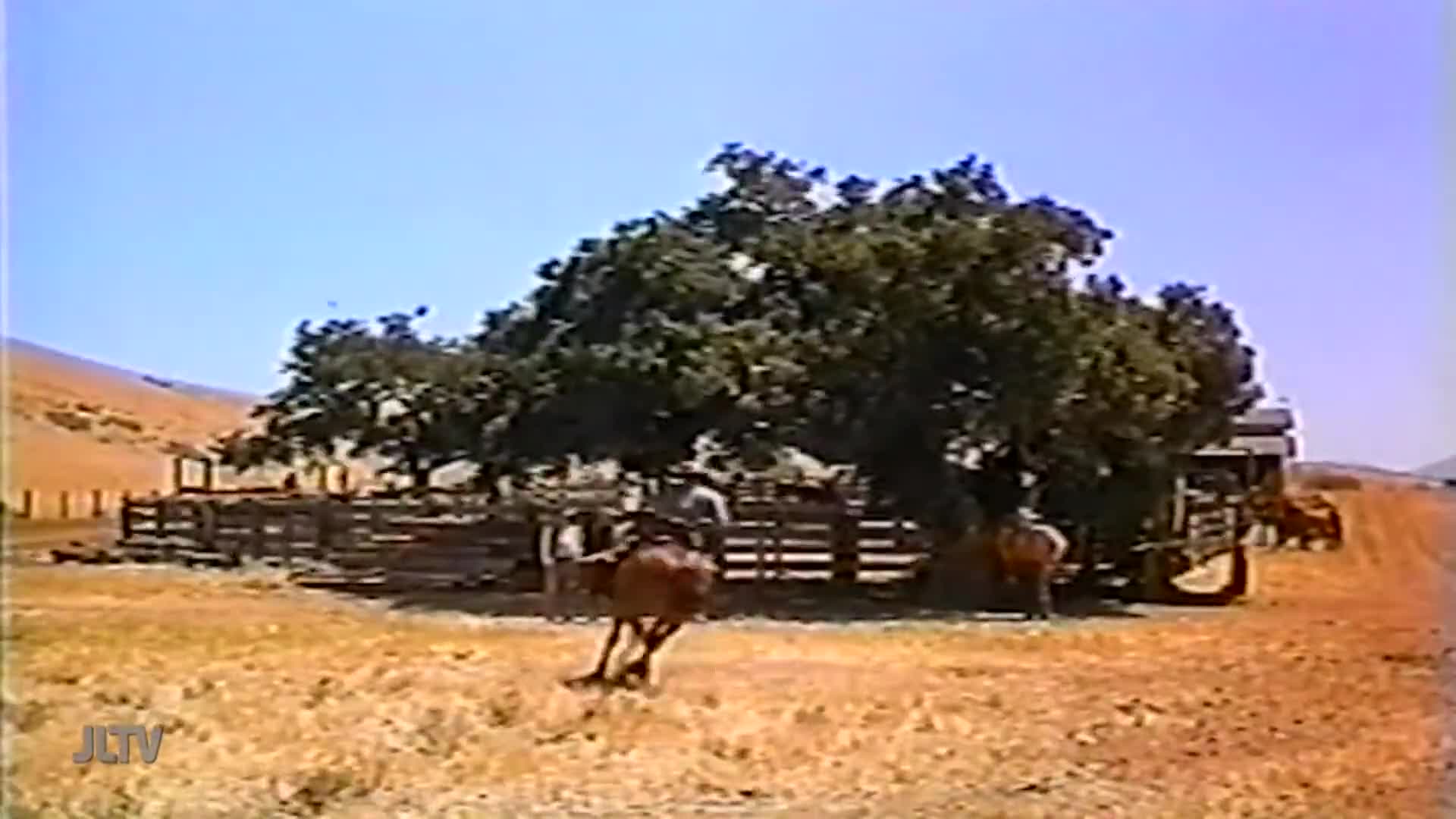 A cowboy on horseback gallops toward the camera, kicking up dust in front of a wooden fence and a large tree. The scene appears to be part of a show on Jewis...
